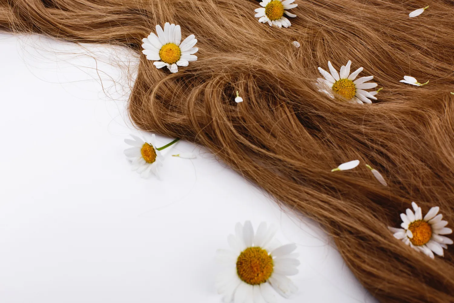 Canada Oil for hair